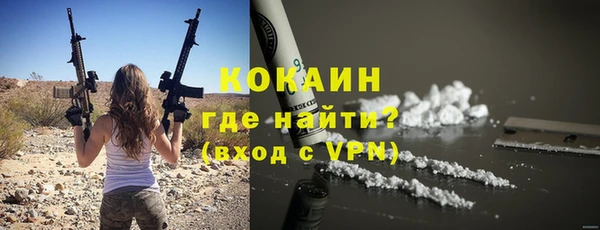 индика Балахна