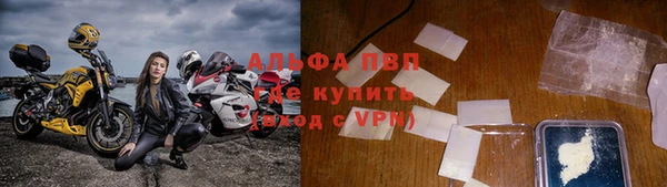 индика Балахна