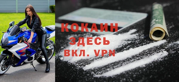 индика Балахна