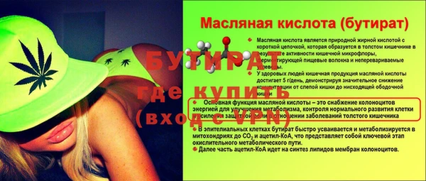индика Балахна